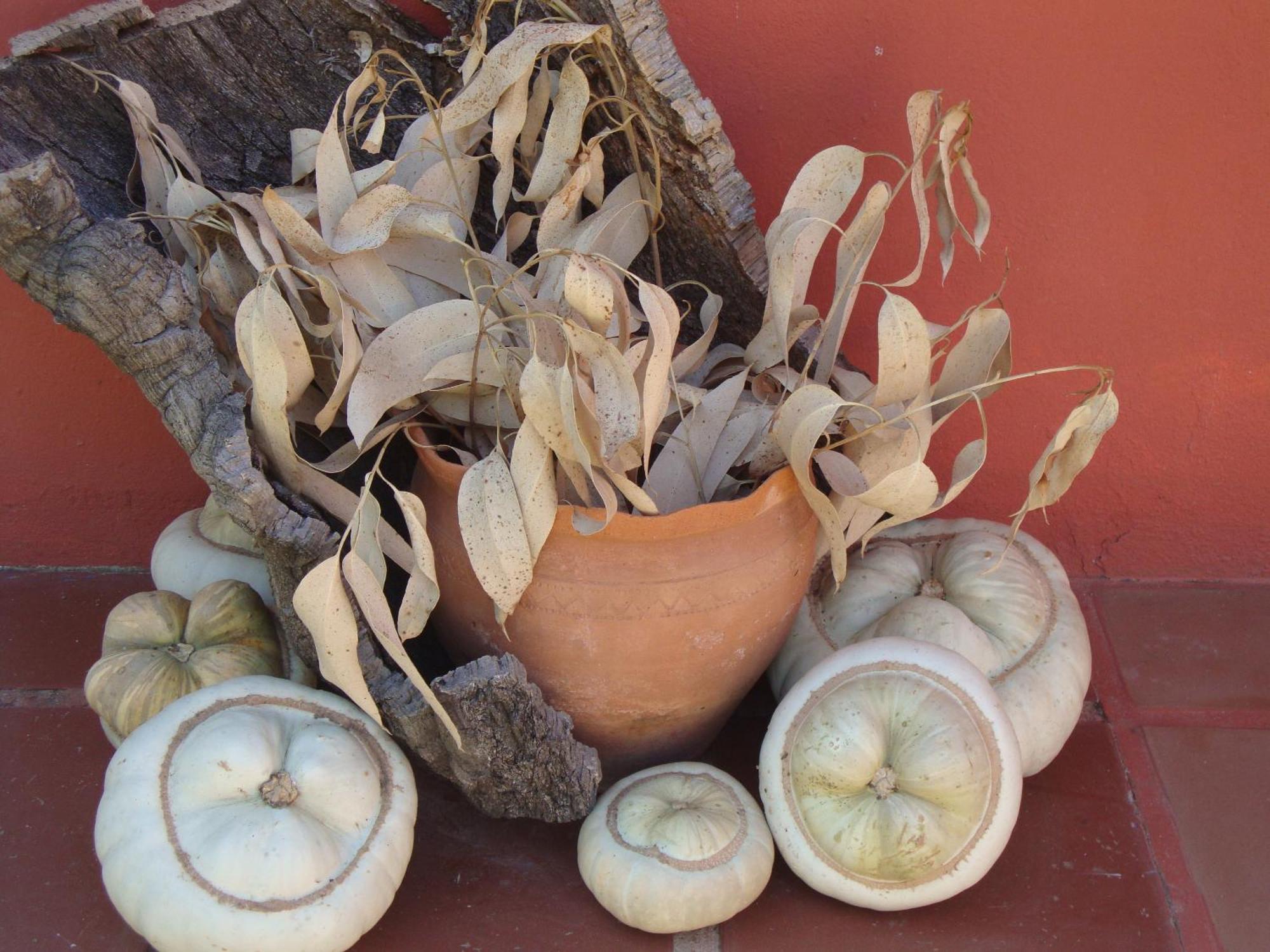 Verdemar Cercal do Alentejo Eksteriør bilde