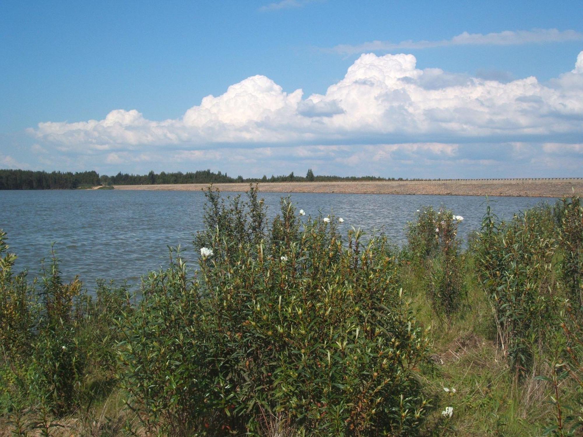 Verdemar Cercal do Alentejo Eksteriør bilde