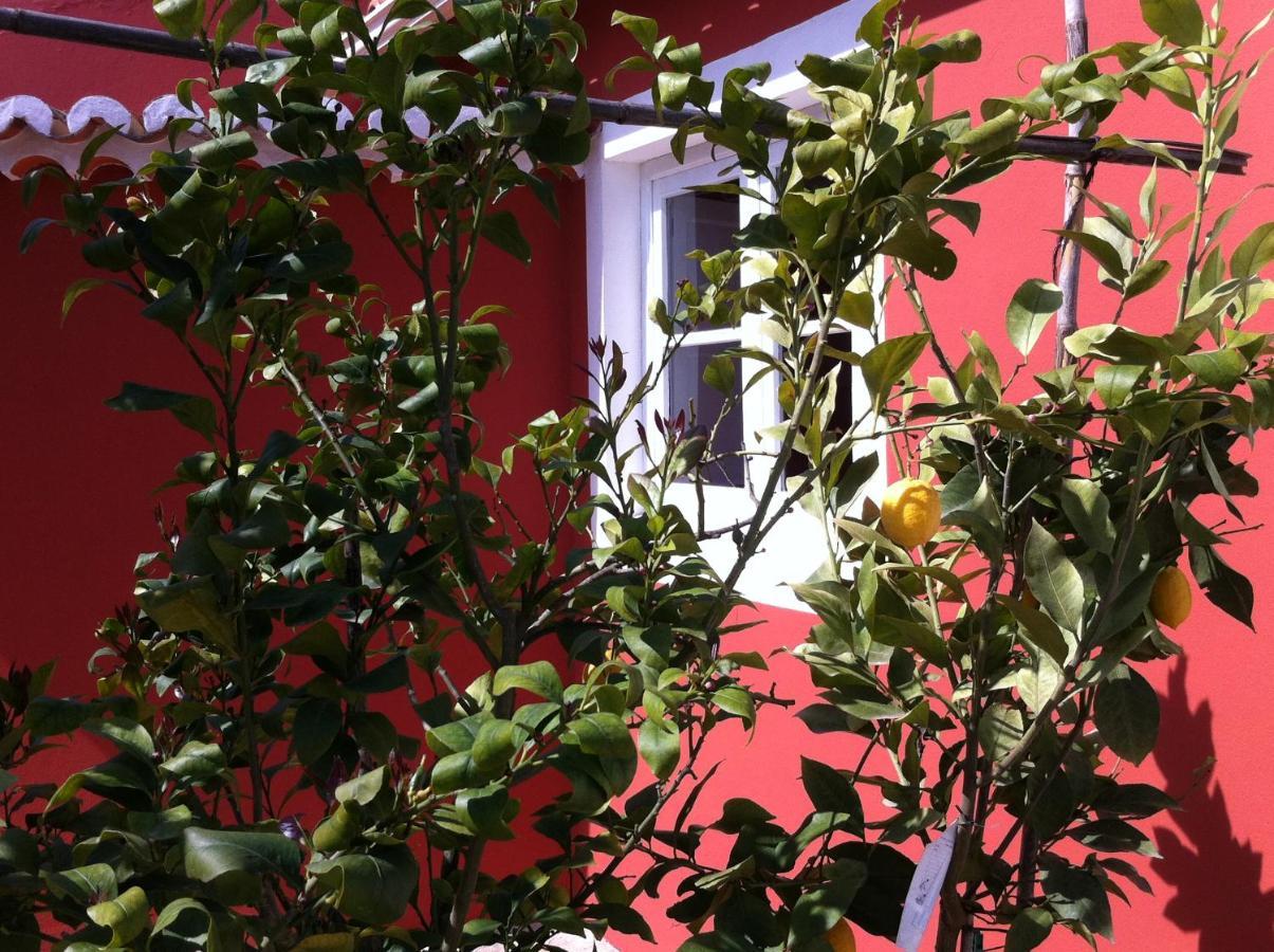 Verdemar Cercal do Alentejo Eksteriør bilde